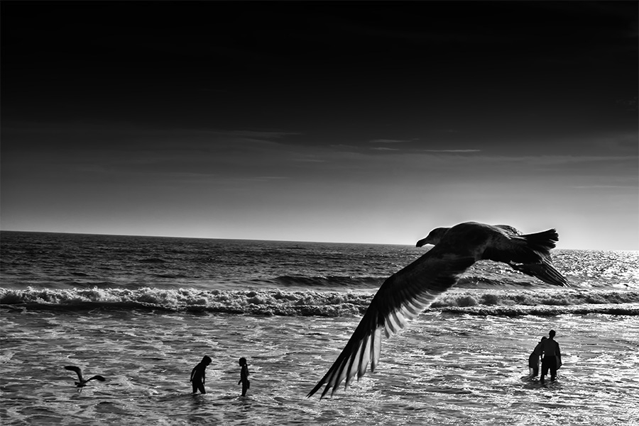 Santa Monica II, 2017